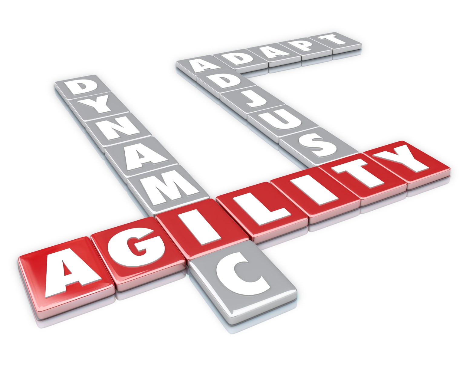 shutterstock_186483938 agility